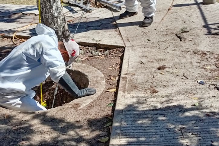 Trabaja Capamh en la recuperación de drenaje y limpieza en el bulevar Cuamanco